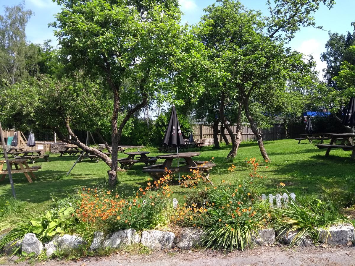 Llanerch Inn Llandrindod Wells Buitenkant foto